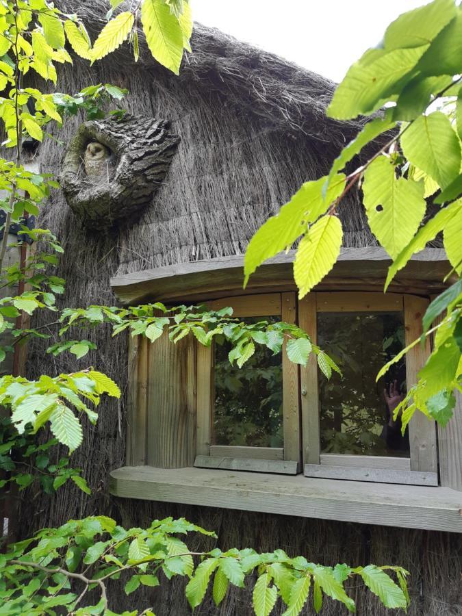 Cabane D'Augustin Saint-Augustin  Εξωτερικό φωτογραφία