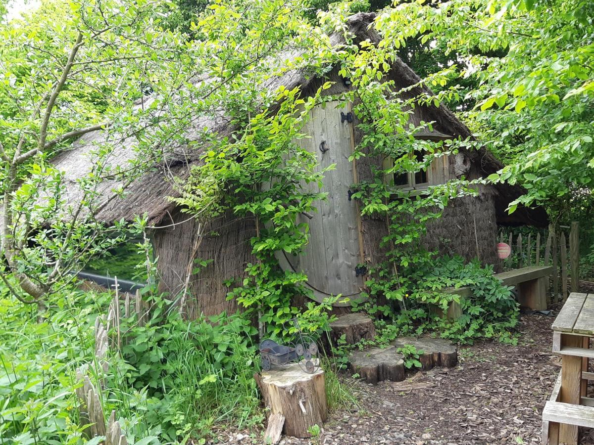 Cabane D'Augustin Saint-Augustin  Εξωτερικό φωτογραφία